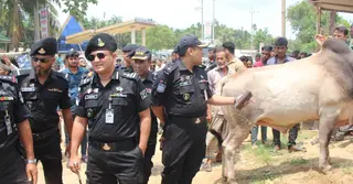 কক্সবাজারে পশুর হাটে জাল টাকা, ছিনতাই ও অজ্ঞান পার্টি ঠেকাতে র‌্যাবের কঠোর অবস্থান